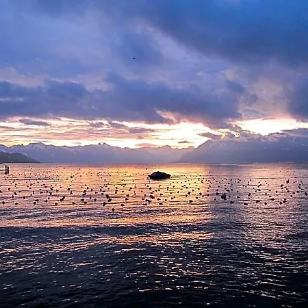Du Port Ξενοδοχείο 3*